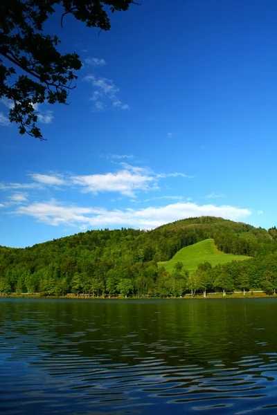 Stock image Summer at the lake Pocuvadlo