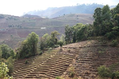 dağ tepe içinde chiangmai, Tayland