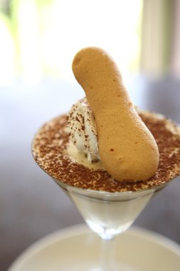 tiramisu camına