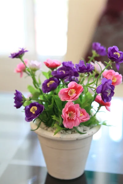 stock image Purple flower in jar