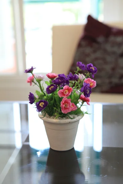 Фиолетовый цветок в банке — стоковое фото