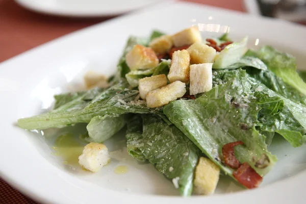 Caesar salad in close up — Stock Photo, Image