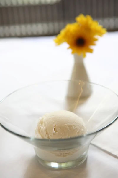 Kokosová zmrzlina — Stock fotografie