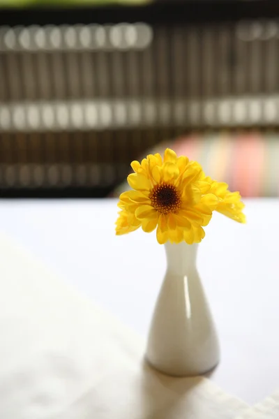 Yellow flower in Jar — Stock Photo, Image