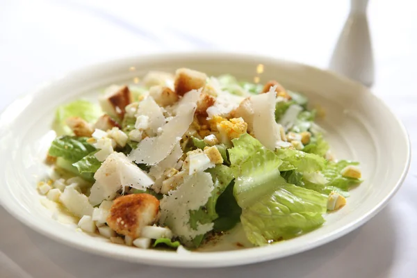 stock image Caesar salad in close up