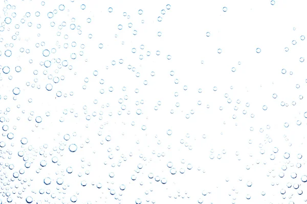 Bubbles in white background — Stock Photo, Image