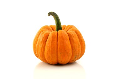 Orange pumpkin isolated in white background clipart