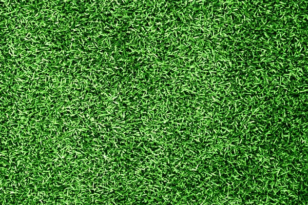 芝生の草の背景 — ストック写真