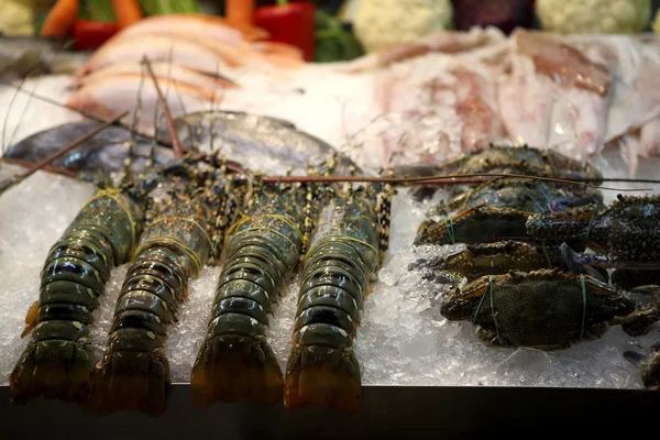Lobster v trhu — Stock fotografie