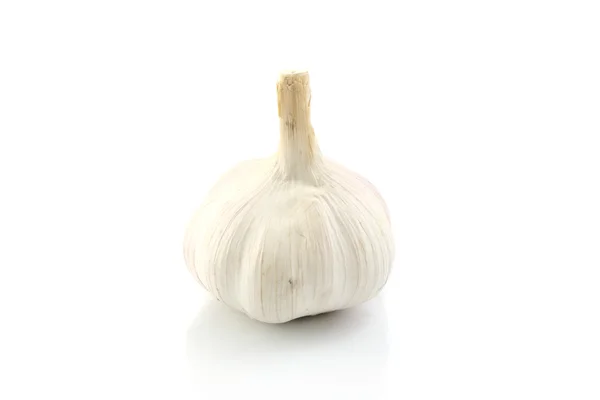 Garlic isolated in white background — Stock Photo, Image