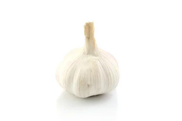 stock image Garlic isolated in white background