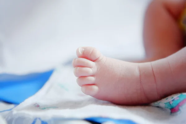 Pé de bebê em alta tecla — Fotografia de Stock