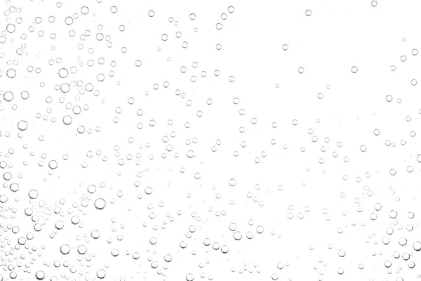 Bubbels op witte achtergrond — Stockfoto