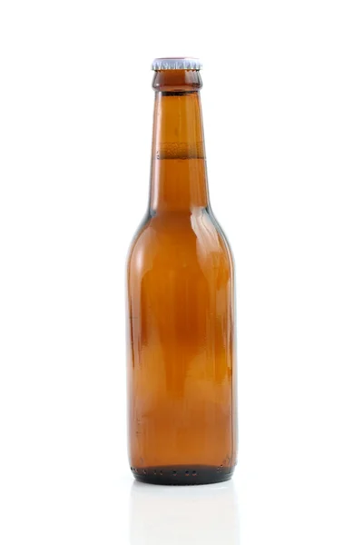 Botol bir dengan latar belakang putih — Stok Foto