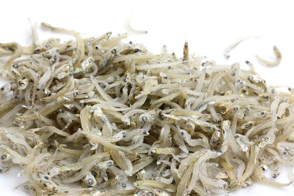 Reisfisch isoliert auf weißem Hintergrund — Stockfoto