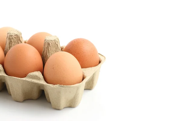 stock image Eggs in the package isolated in white background