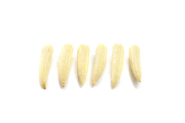 Baby corn isolated in white background — Stock Photo, Image