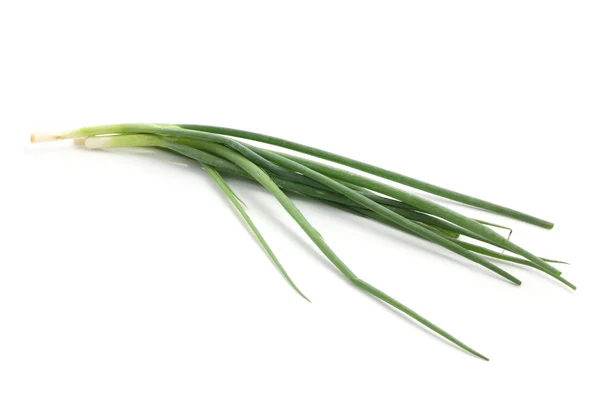 stock image Scallion isolated in white background