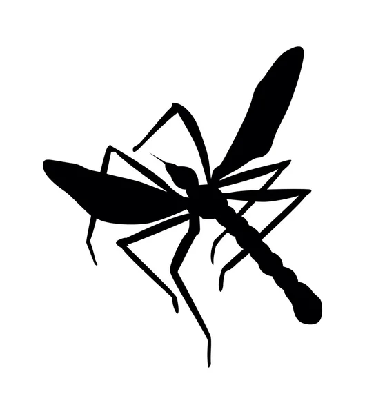 Zanzara — Vettoriale Stock