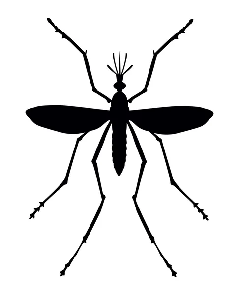 蚊 — ストックベクタ