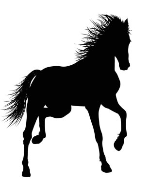 Vector horse clipart