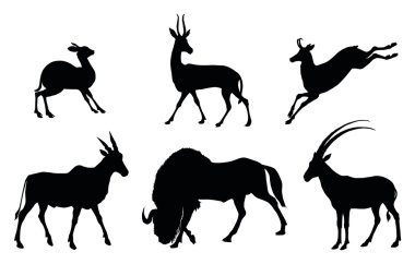 Animals collections. Antelope clipart
