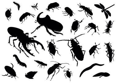 Insects collection clipart