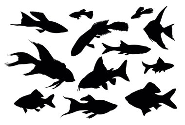 Fish collection clipart