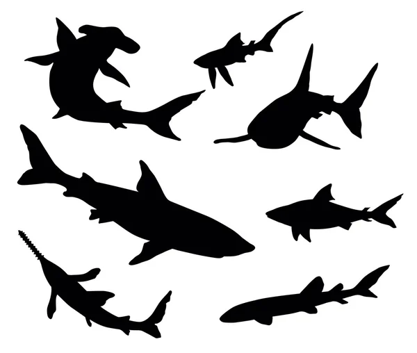 stock vector Sharks silhouettes
