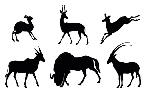 Collezioni di animali. Antelope — Vettoriale Stock
