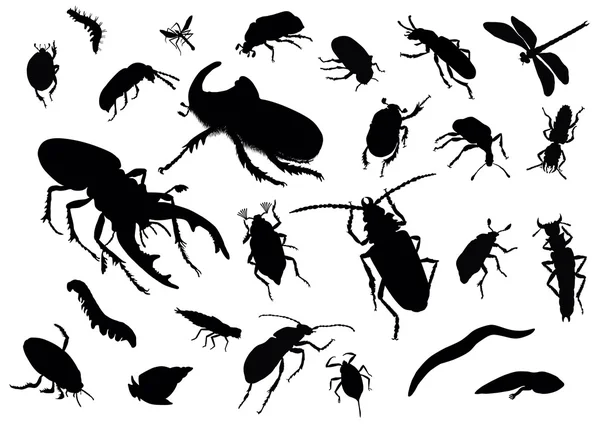 Böcekler koleksiyonu — Stok Vektör