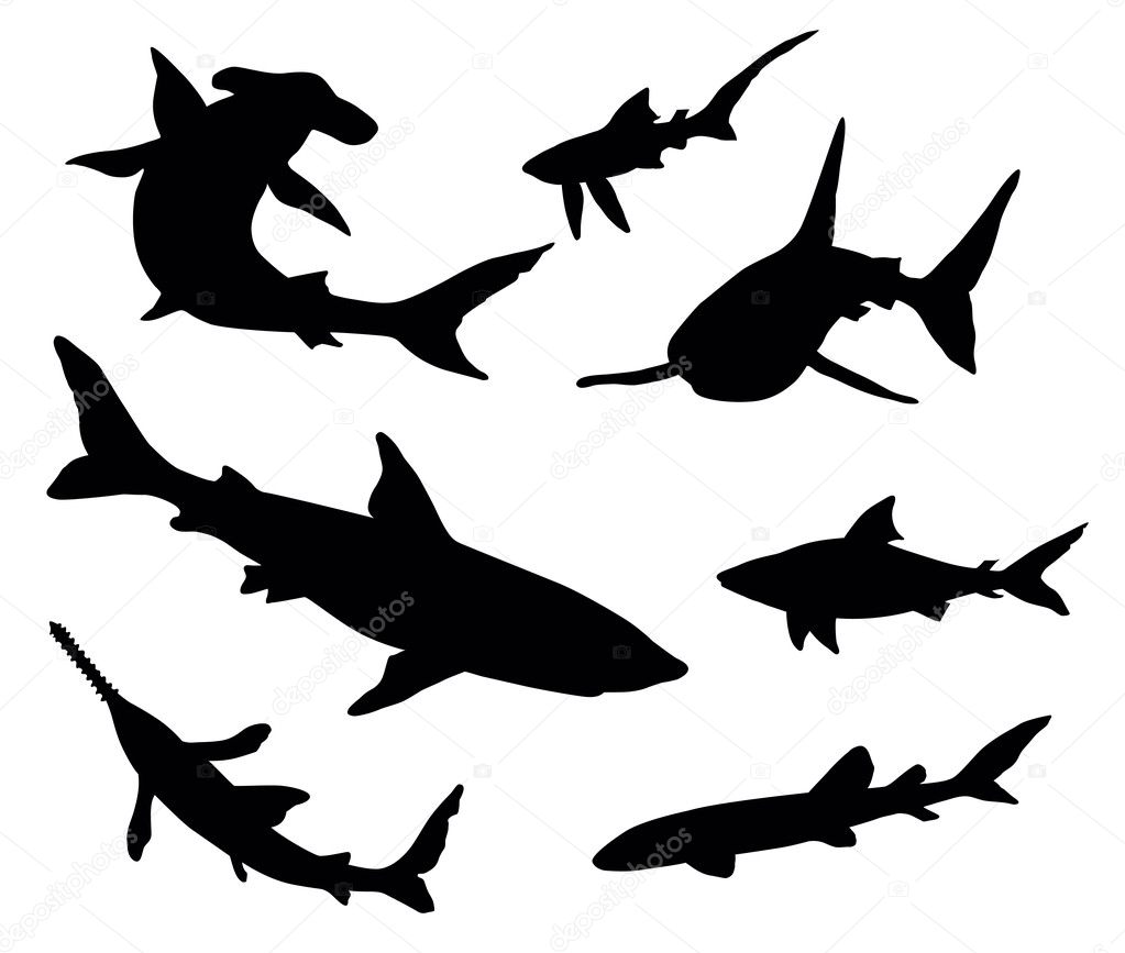 Sharks silhouettes