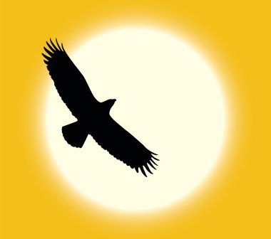 Flying eagle clipart