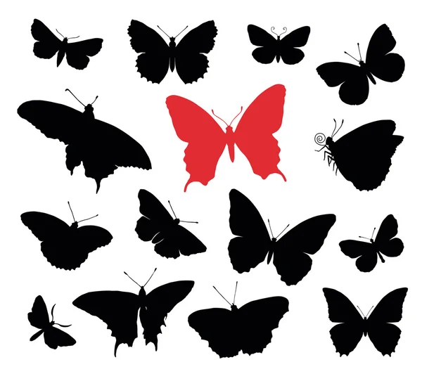 Метелик колекції — стоковий вектор