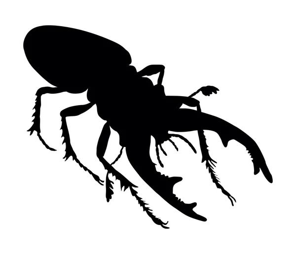 Geyik böceği — Stok Vektör