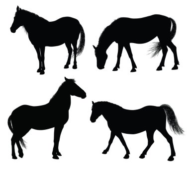 Vector horse silhouettes clipart