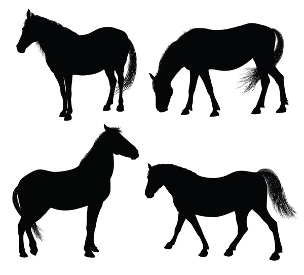 Vector horse silhouettes — Stock Vector