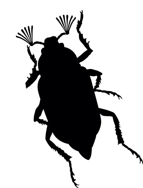 Maybug — Image vectorielle