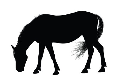 Vector horse silhouette clipart