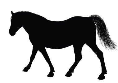 Vector horse silhouette clipart