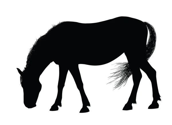 Silueta de caballo vectorial — Vector de stock