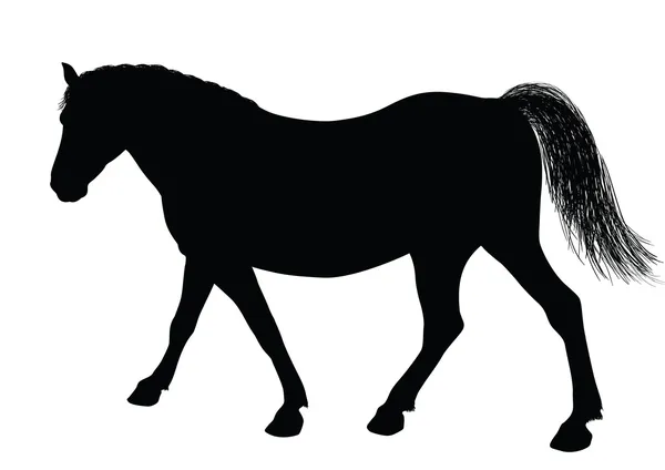 Silueta de caballo vectorial — Vector de stock