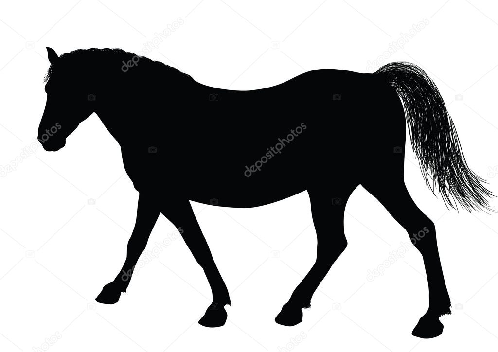 Vector horse silhouette