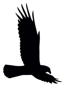 Flying eagle clipart