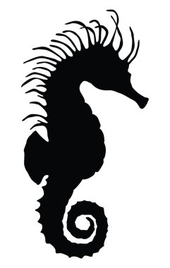 Vector sea horse clipart