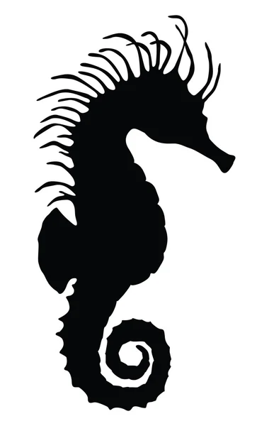 Cheval de mer vecteur — Image vectorielle