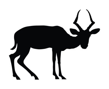 Vector antelope clipart