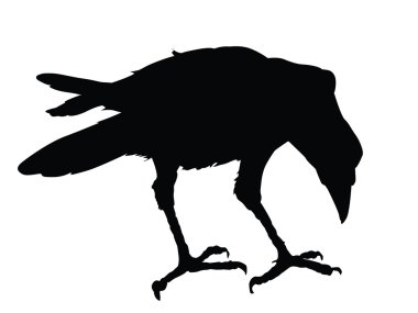 Vector raven clipart