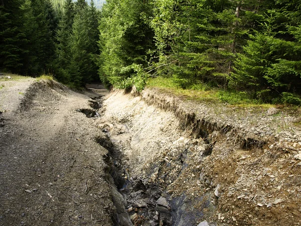 stock image Old road