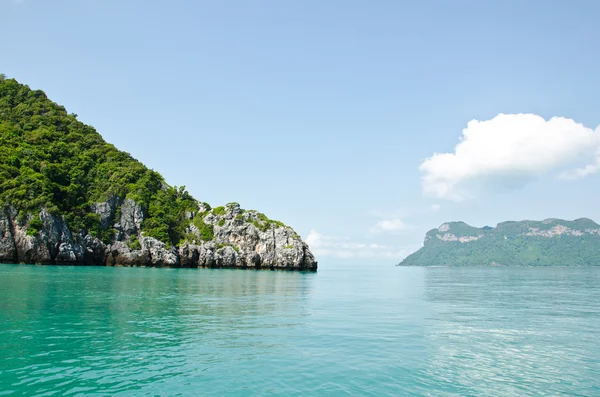 Denizin ortasında parlak yeşil ada — Stok fotoğraf